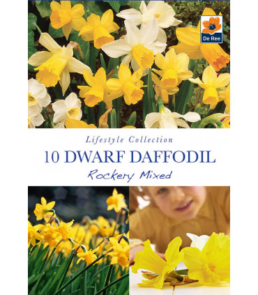 Dwarf Daffodil 'Rockery Mixed'(10 Bulbs)