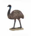 Emu Toy Figure  Realistic Australian Wildlife Model