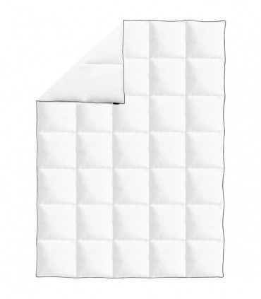 Winter Down Duvet 150x200 cm