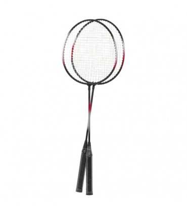 vidaXL Badminton Set with 2 Rackets. Net & Storage Case 292x30x152 cm