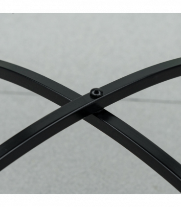 Erigeron karvinskianus profusion 9cm/2L