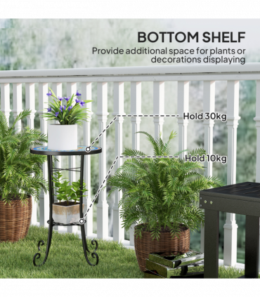 Euonymus fortunei 'Harlequin' 9cm / 1.5L / 2L