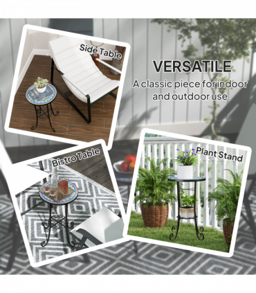 Euonymus fortunei 'Harlequin' 9cm / 1.5L / 2L