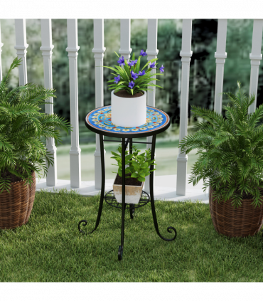 Euonymus fortunei 'Harlequin' 9cm / 1.5L / 2L