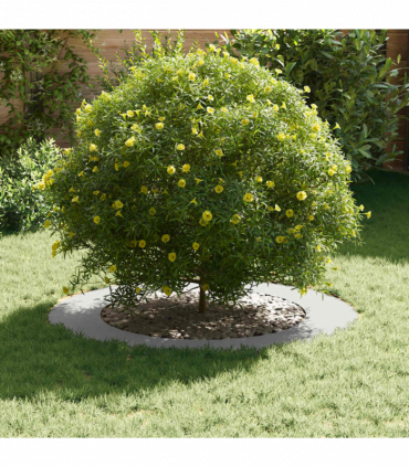 vidaXL Flat Tree Ring White Ø60 / 90 cm Steel