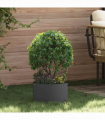 vidaXL Garden Planter Black 30 x 30 x 20 cm Steel