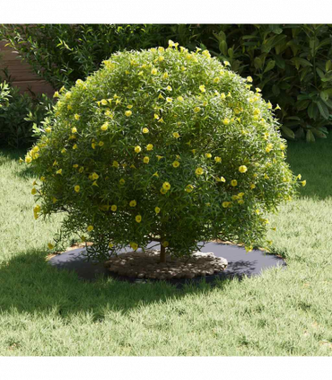 vidaXL Flat Tree Ring Anthracite Ø30 / 60 cm Steel