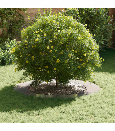 vidaXL Flat Tree Rings 5 pcs Silver Ø60 / 90 cm Stainless steel