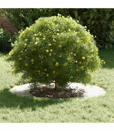 vidaXL Flat Tree Rings 5 pcs Silver Ø40 / 70 cm Galvanised steel