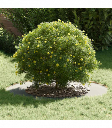 vidaXL Flat Tree Rings 5 pcs Silver Ø50 / 80 cm Galvanised steel