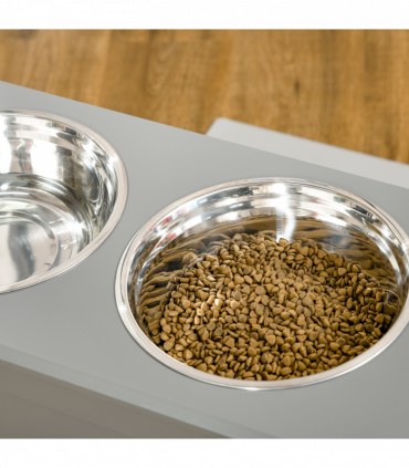 Raised Pet Dog Bowls w/ Storage, Two Bowls, Elevated Base - Grey