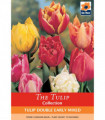 Tulip Double Early Mixed (6 Bulbs)