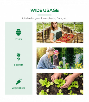 Mini Greenhouse, with Durable PE Cover, 119x60x60cm