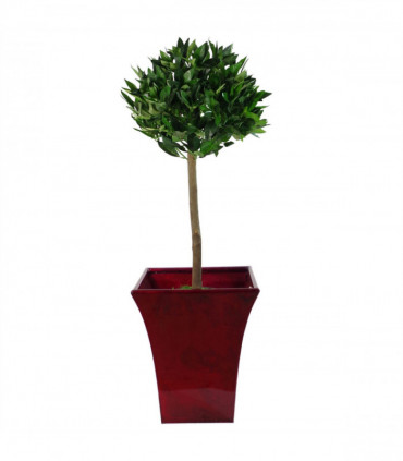 Pair of 90cm (3ft) Plain Stem Artificial Topiary Bay Laurel Ball Trees