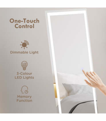 LED Lighted Full Length Mirror Dimmable Body Mirror White 40W x 2.9D x 150Hcm