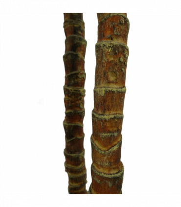 170cm Artificial XL Triple Yukka Tree Plant Spiky Tree Plant Realistic