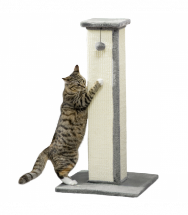 Cat Scratching Post 81cm Cat Scratcher w/ Natural Sisal Rope Hanging Ball Grey