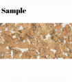 Decorative Cork Wall Tiles - Beige - Sample - 1 Strip