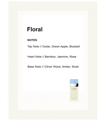 Dolce & Gabbana Light Blue Eau de Toilette Spray 25ml