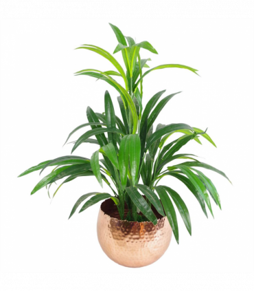 Large Metal Planter 22 x 17cm Hammered Silver Colour Curvy Edge