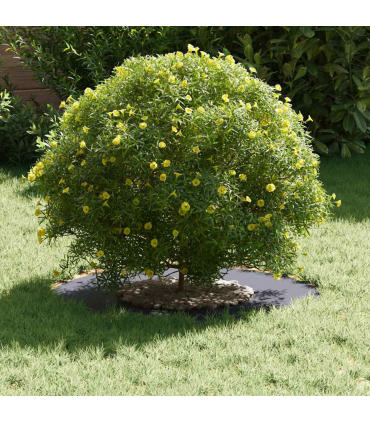 vidaXL Flat Tree Rings 5 pcs Anthracite Ø30 / 60 cm Steel