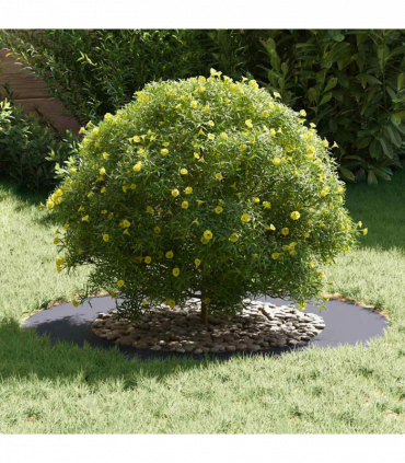 vidaXL Flat Tree Ring Anthracite Ø50 / 80 cm Steel