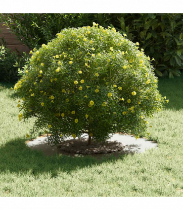 vidaXL Flat Tree Ring White Ø30 / 60 cm Steel