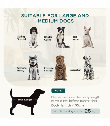 PawHut Dog Sofa w/ Legs, Water-Resistant Fabric for Large, Medium Dogs - Green