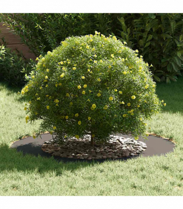 vidaXL Flat Tree Ring Black Ø50 / 80 cm Steel