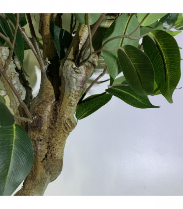 100cm Premium Artificial Ficus Twist Tree Silver Curve Planter