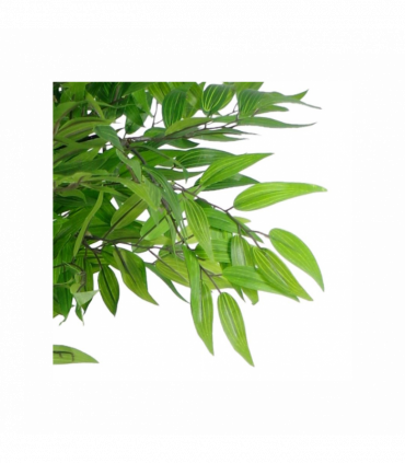 100cm Luxury Artificial Mini Ruscus Tree Premium Range