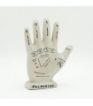 12" PALMESTRY HAND