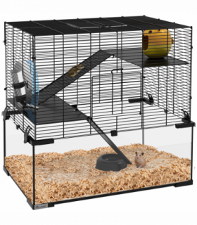 Cage w/ Deep Glass Bottom