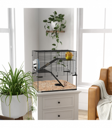 Cage w/ Deep Glass Bottom