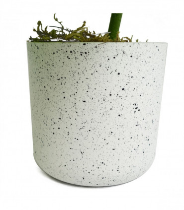 30cm Artificial Green Potted Monstera Trailing Plant