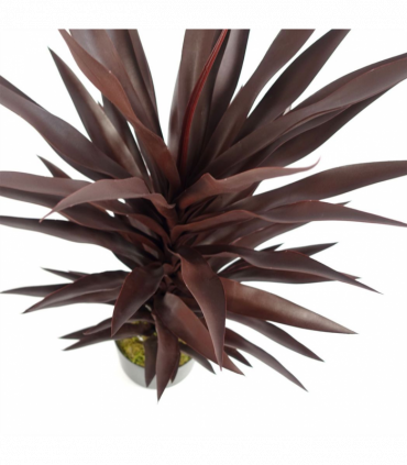 85cm Dark Red Yucca Plant Artificial