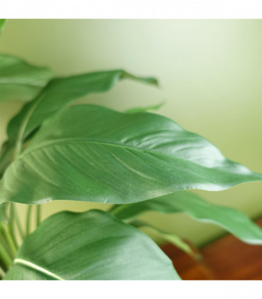 Artificial Peace Lily White Spathiphyllum Silk Leaves Petals Plastic 14cm x 12cm