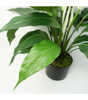 Artificial Peace Lily White Silk 60cm Realistic Replica Indoor Use Weighted Pot