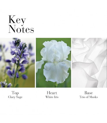 Elizabeth Arden White Tea Eau de Toilette Spray 100ml