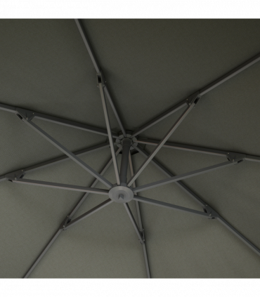 Geranium 'Rozanne' 9cm / 2L