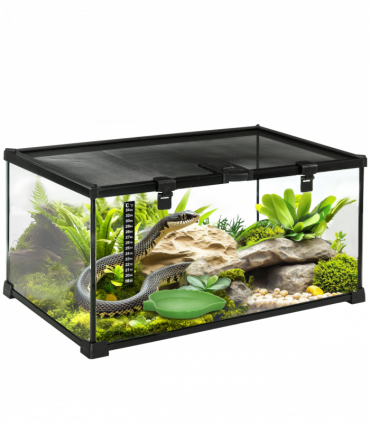 Glass Reptile Terrarium