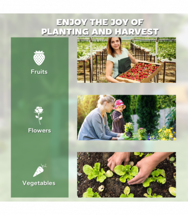 Outsunny Raised Garden Bed Planter Box with Greenhouse, Clear and Green