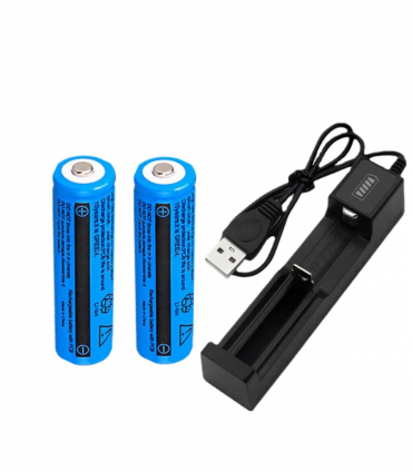 4pcs 3000mAh 18650 Rechargeable Batteries+2x USB Battery Charger Set For Fashlight headlamp