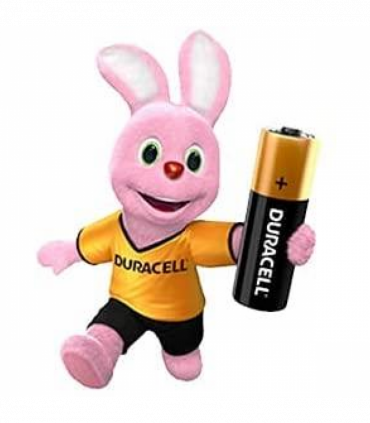 DURACELL N-LR1 E90 DURACELL 2 PACK Box of 10