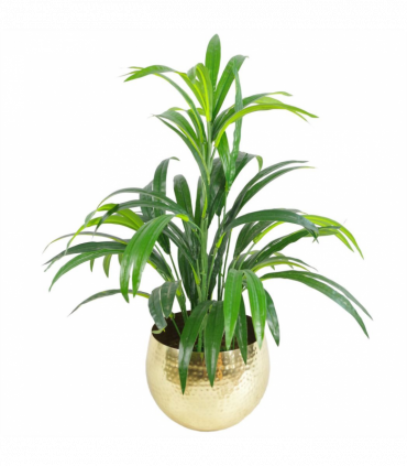 Leaf Large Metal Planter 22 x 18cm Hammered Brass Gold Colour - Straight Edge