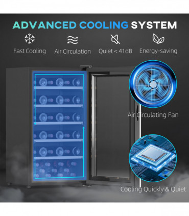 HOMCOM 41 Bottle Wine Cooler Fridge, Freestanding Wine Refrigerator