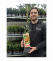 Pyracantha 'Soleil D'or' 1L/2L