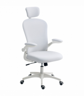 Vinsetto Mesh Chair with Headrest, 4D Lumbar Support, Flip-up Arm, White