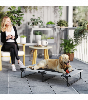 PawHut Raised Dog Bed with Breathable Mesh for Large Dogs, Light Grey