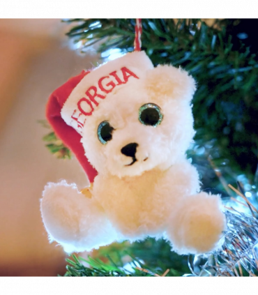 Pre-personalised My Christmas Bear Tree Decoration - Ollie